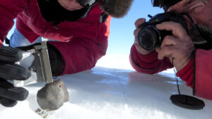 Antarctic Meteorites Are Going, Going, May Soon Be Gone.