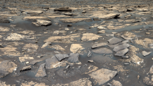 Manganese deposits on Mars’ ancient lake hint at Earth-like conditions.