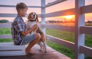 Living the Beagle Life: Embracing Family and Enjoying Breathtaking Sunsets