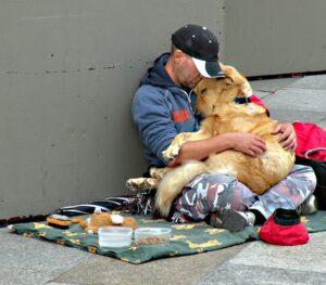 The Faithful Dog Stays by Homeless Owner’s Side, Touching the Hearts of Millions Worldwide