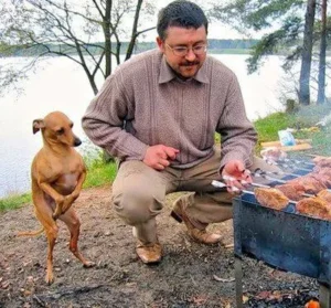 The touching image of a homeless dog crossing his paws and using charming gestures to ask a man for a meal has captivated social media.