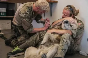 In the chaos of war, a soldier tenderly cares for his wounded dog companion, their unwavering loyalty and mutual devotion a testament to the resilience of the human-animal bond