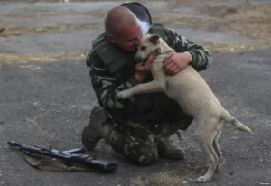 In an Emotional Reunion, a Loyal Dog Embraces His Retired Military Officer After Ten Years Apart; Their Heartfelt Hug Captured in a Touching Video Evokes Deep Feelings