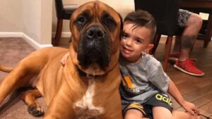 Dedicated Pal: Canine Stands by 3-Year-Old Throughout Timeout, Garnering Social Media Attention for Its Abundant Affection