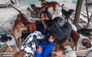 The sight of abandoned dogs lining up at the shelter, waiting for a full meal, created a scene that touched millions of people a day ago