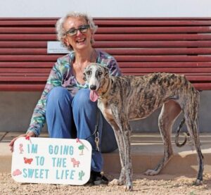 A thin dog cried from hunger after being abandoned by its owner, but found the affection of a stranger along the way