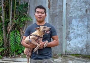 Thanks to her caring owner, a dog born without back legs now balances on her front legs, demonstrating resilience and adaptability.