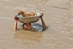 A 7-Year-Old Boy Becomes a Hero by Saving an Abandoned Dog, Demonstrating Great Empathy