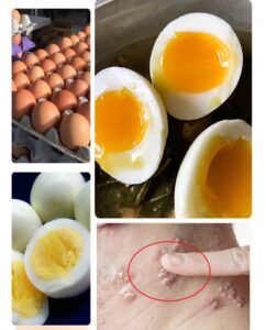 Here’s what happens to your body if you eat eggs every day!